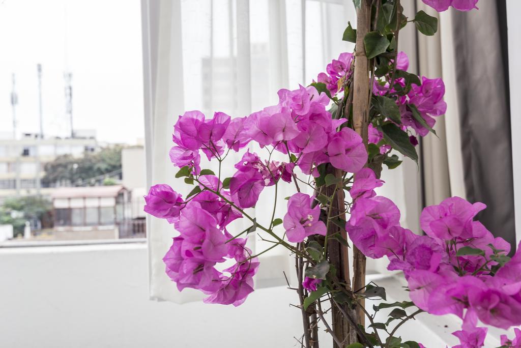 Autor Bed & Breakfast Lima Dış mekan fotoğraf
